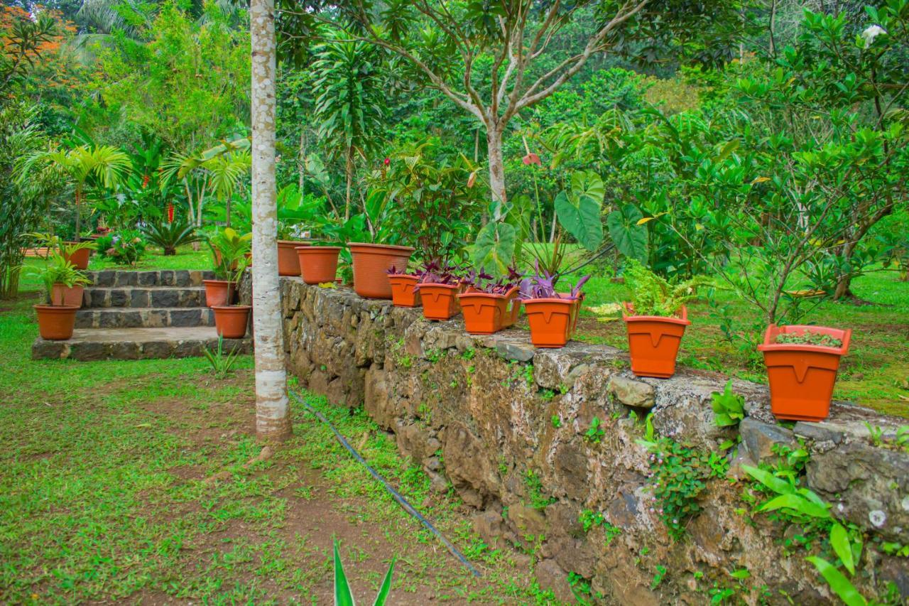Welfare Agroturismo Milagrosa Экстерьер фото