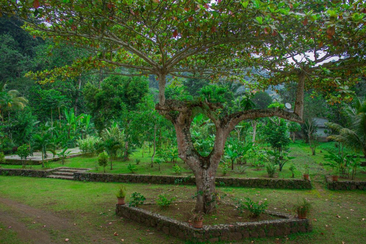 Welfare Agroturismo Milagrosa Экстерьер фото