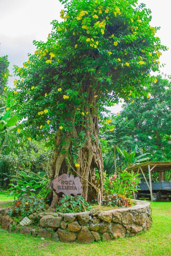 Welfare Agroturismo Milagrosa Экстерьер фото